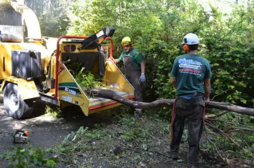 tree services Ligonier